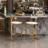 Luxury Gold Stainless Steel bar Chairs Villas Home Kitchens Hotels Cafes High Stools