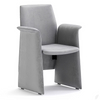 Modern Classic Luxury Black Cafe Chair Velvet Restaurant Chairs Wood Gym Kitchen OEM Dining Chair