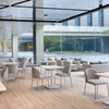 Factory Wholesale Modern Metal Legs Restaurant Chair Velvet Fabric Cafe Italy Luxury Designer Creative Dining Chair