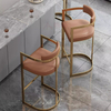Modern Leisure Bar Dining Chair with Stainless Steel Pu Leather Non-Adjustable Acrylic Furniture for Kitchen Hotel Living Room
