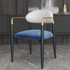 Light Luxury Hotel Restaurant High Quality Dining Table Chair Household Make-up Coffee Shop Leisure Negotiation Dining Chair