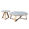 Modern Living Room Furniture Home Furniture Round Stainless Steel Marble Coffee Table and Side Table Set