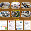 Factory Customization Modern Sectional Sofa Set Modular Frosted Velvet Fabric Couch Living Room Sofas