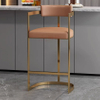 Modern Leisure Bar Dining Chair with Stainless Steel Pu Leather Non-Adjustable Acrylic Furniture for Kitchen Hotel Living Room