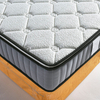 OEM/ODM Full Mesh Spring Frame Sponge Filled Knitted Fabric Mattress Modern Apartment Budget Hotel Bedroom Mattress